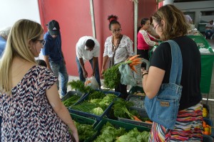 31-08-2017 Centro Público Estadual de Economia Solidária - fotos Luciana Bessa (295)