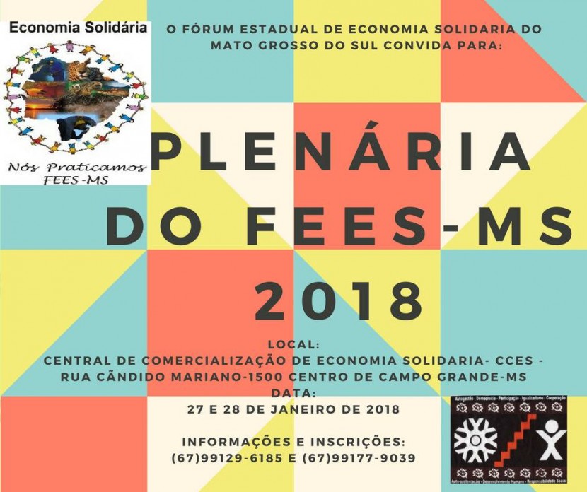 PLENÁRIA DO FEES – MS 2018